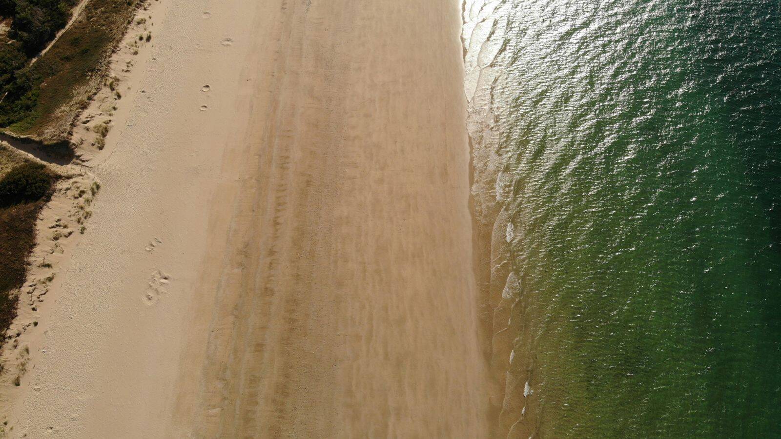 plage-vert-bois